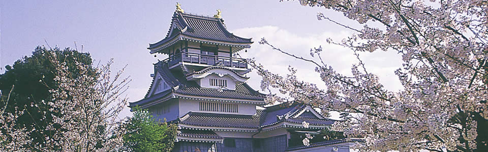 小山城と桜2