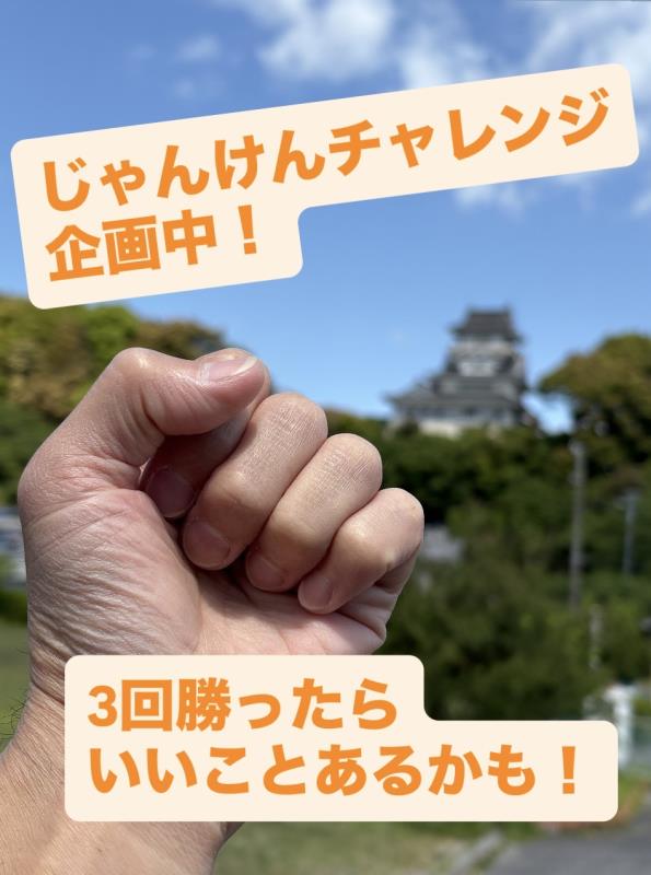 チラシ3