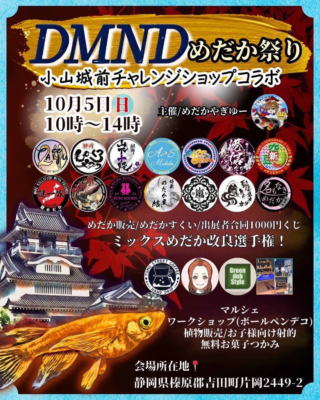 DMNDメダカ祭り