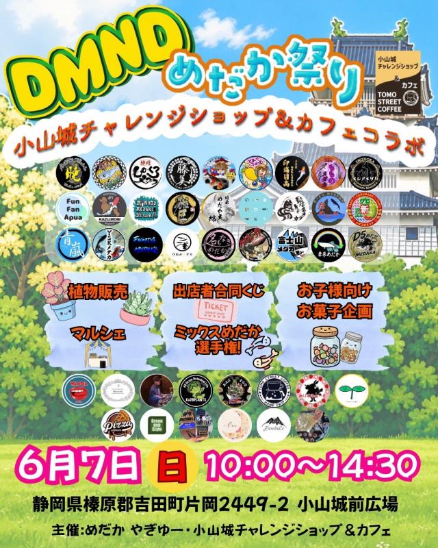 チラシ