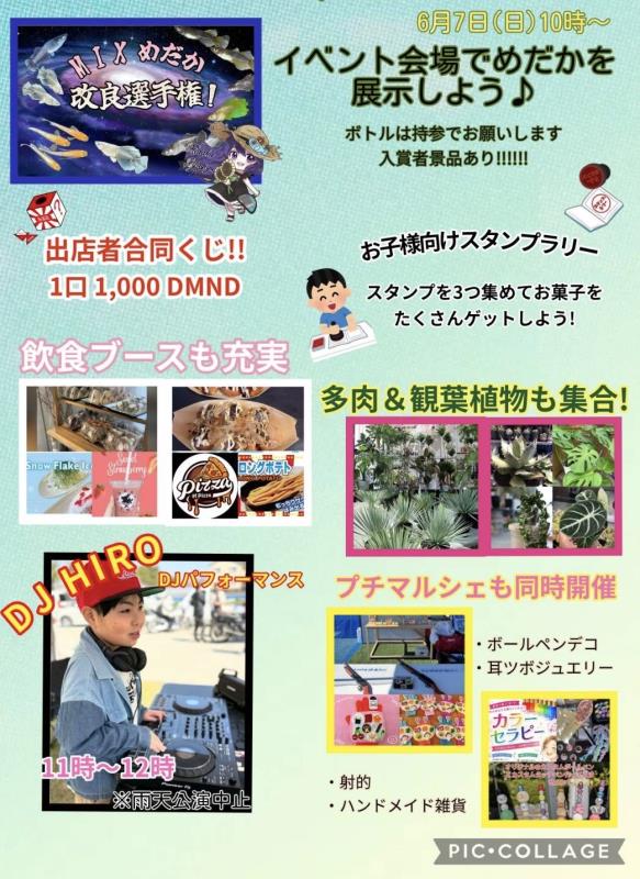 チラシ4