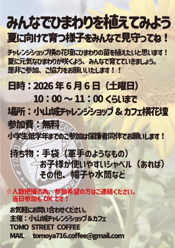 チラシ