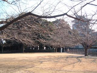 能満寺山公園の画像