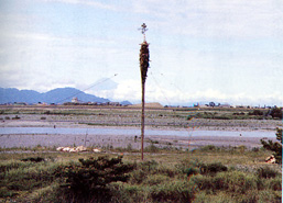 寺島川除地蔵の灯篭あげの画像